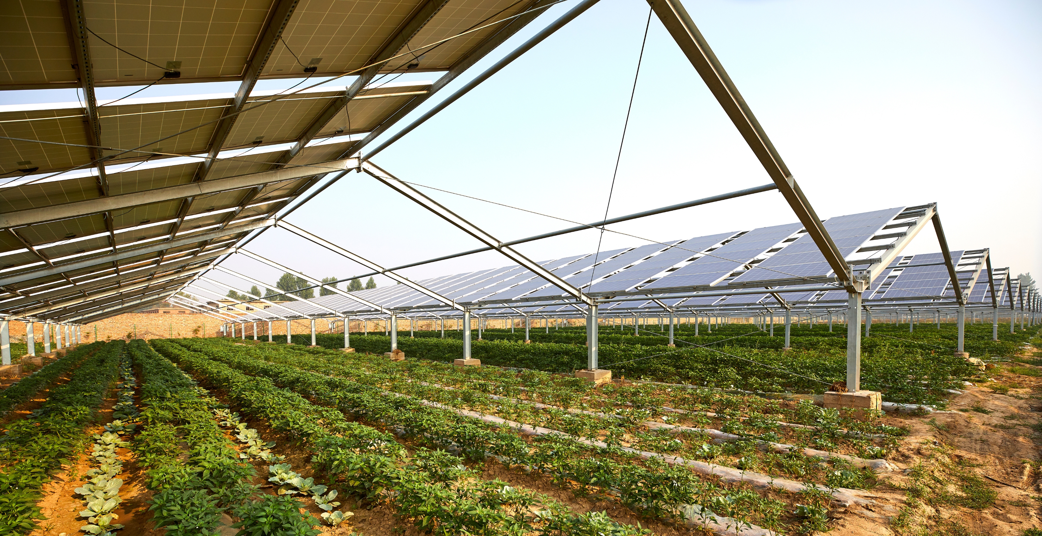 Développer votre autonomie énergétique face à la la hausse du coût de l’électricité